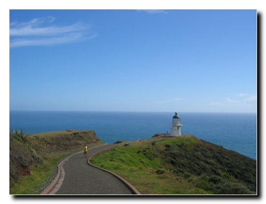 03 Cape Reinga